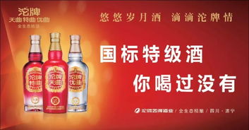 濮陽審車VIP通道 快速便捷體驗，酒類經(jīng)營人士優(yōu)先報名